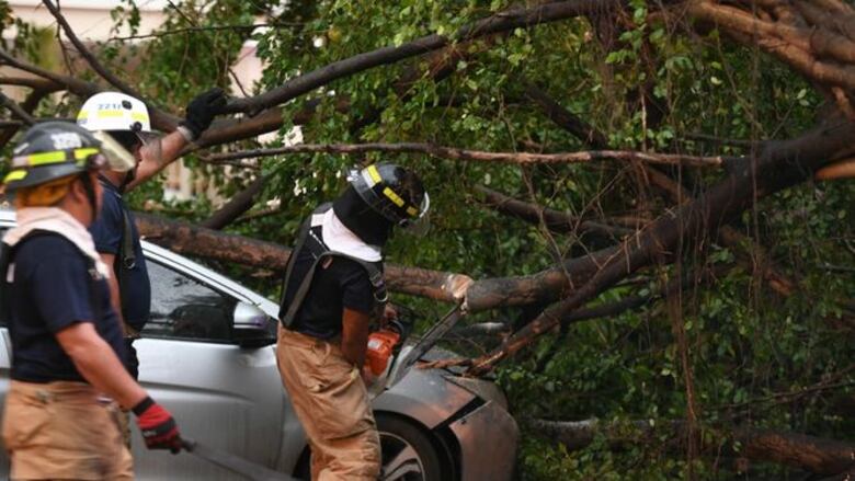 Fuertes lluvias y vientos causan caída de árboles y voladura de techo en la Cancillería