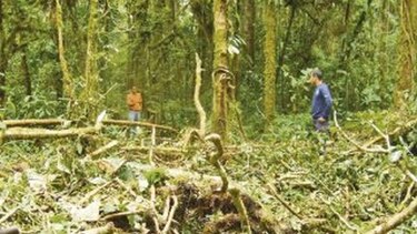 Empezarán rehabilitación del sendero Los Quetzales