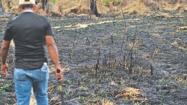 Devastan humedal más grande del país