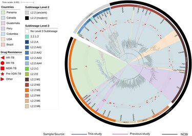 Cepa de tuberculosis de alta capacidad de transmisión circula en Colón