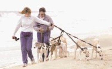 Para perder peso, duerma más y cómprese un perro