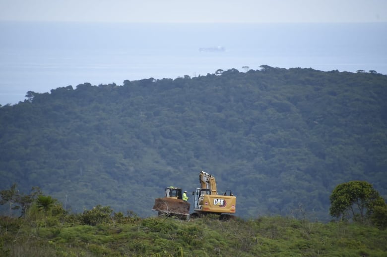Corredor del Caribe amenaza reserva natural  Sierra Llorona, denuncian ambientalistas