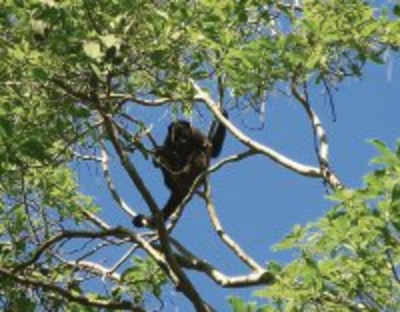 La lista roja de la naturaleza