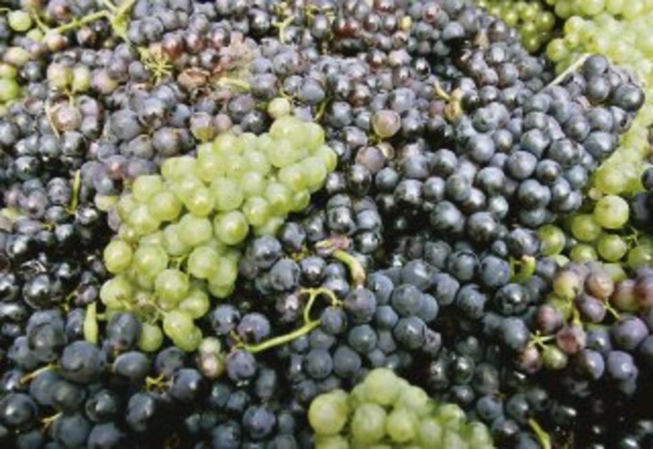 Ecuador fija arancel de 12% a 271 productos