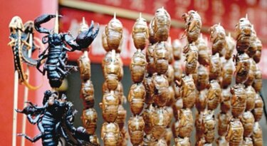 Insectos comestibles llegan hasta las estanterías de los supermercados