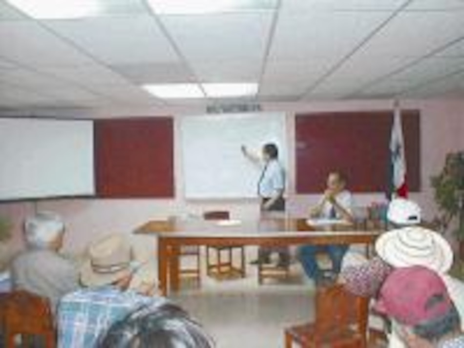 Controlan virus de la mancha blanca