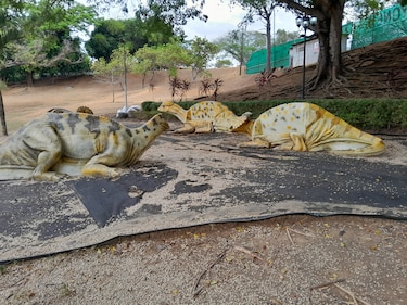 Desidia al aire libre: el Parque Recreativo Omar olvidado