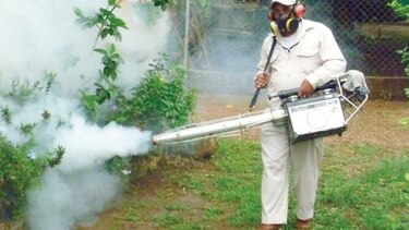 Minsa declara advertencia sanitaria por casos de dengue