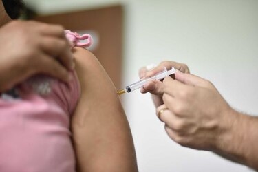 Estado brasileño declara emergencia por fiebre amarilla