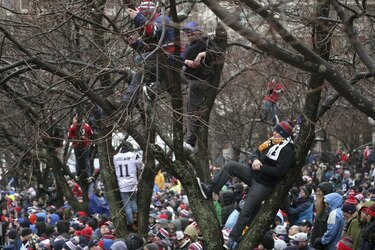 Bajo la nieve, Patriots celebran su quinto campeonato