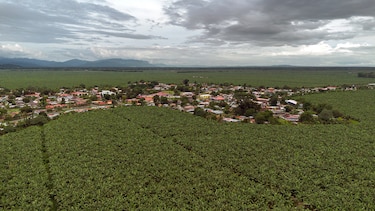 La raíz del conflicto en Bocas del Toro: entre el banano, el sindicato y la represión