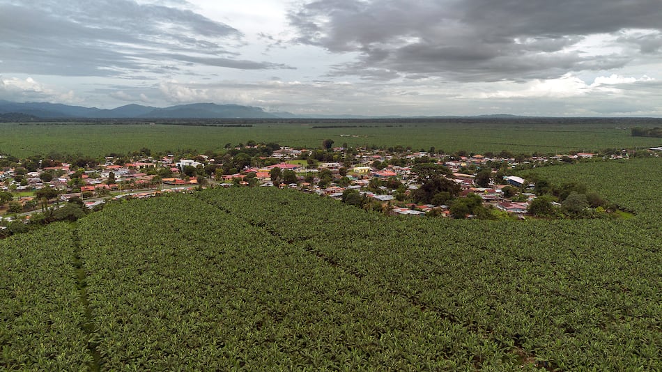 La raíz del conflicto en Bocas del Toro: entre el banano, el sindicato y la represión