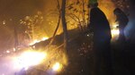Finca de Varela Hermanos es alcanzada por incendio forestal