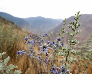 Tras un año en blanco, una cita por la biodiversidad