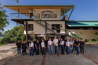 Café Geisha alcanza récord en subasta privada