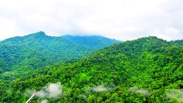 Habilitan torre de observación en la reserva El Montuoso