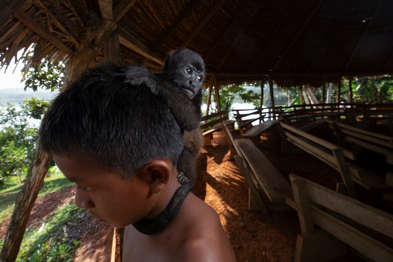Cimarrón Paraíso: la aldea emberá que nació en pandemia
