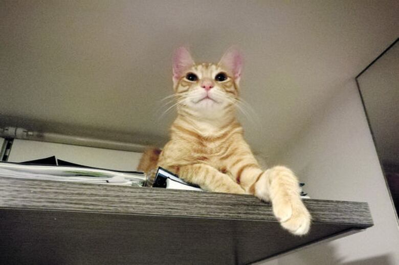 ¡Feliz cumpleaños, Maya!