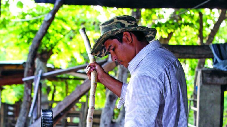 Faena detrás de la popular raspadura