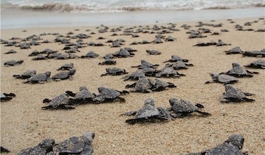 Las rutas turísticas de provincias centrales