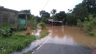 Inundaciones en varios sectores del distrito de Chepo