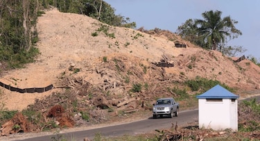 Ensanche de la vía Omar Torrijos: Lo que dice la encuesta del estudio ambiental