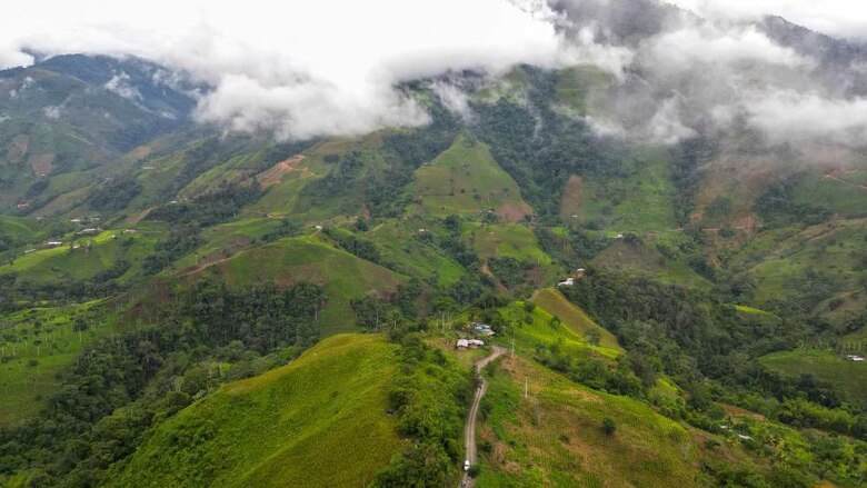 La carrera tecnológica de los narcos en Colombia para que el negocio de la cocaína sea más rentable