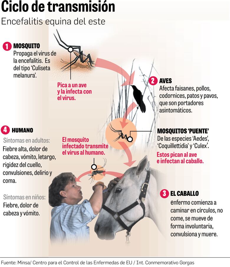 Científicos de Panamá dirigen su mirada a  Darién, cuna de enfermedades infecciosas   