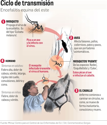 Científicos de Panamá dirigen su mirada a Darién, cuna de enfermedades infecciosas