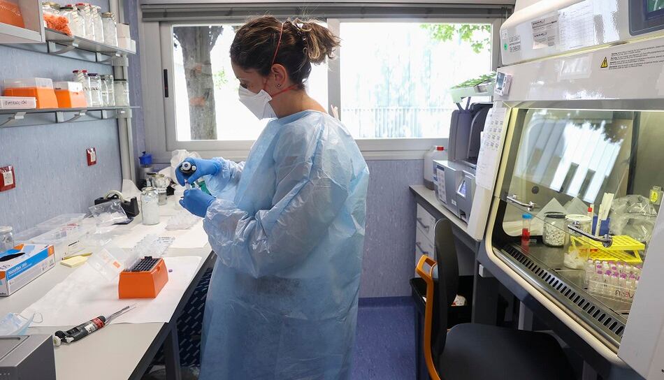 Estados Unidos detecta por primera vez dos casos de viruela del mono en niños