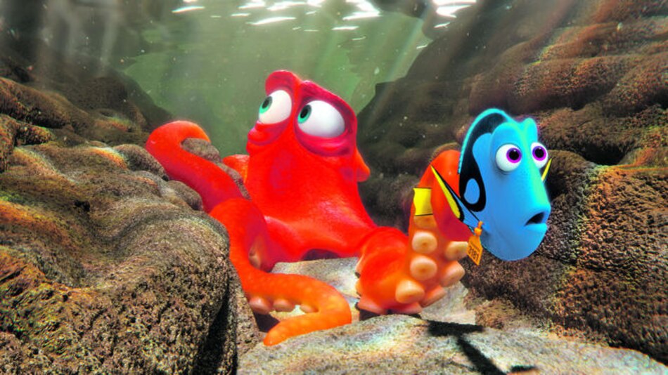 Temen captura del pez azul