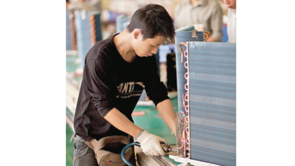 Sector de servicio crece por los nuevos negocios