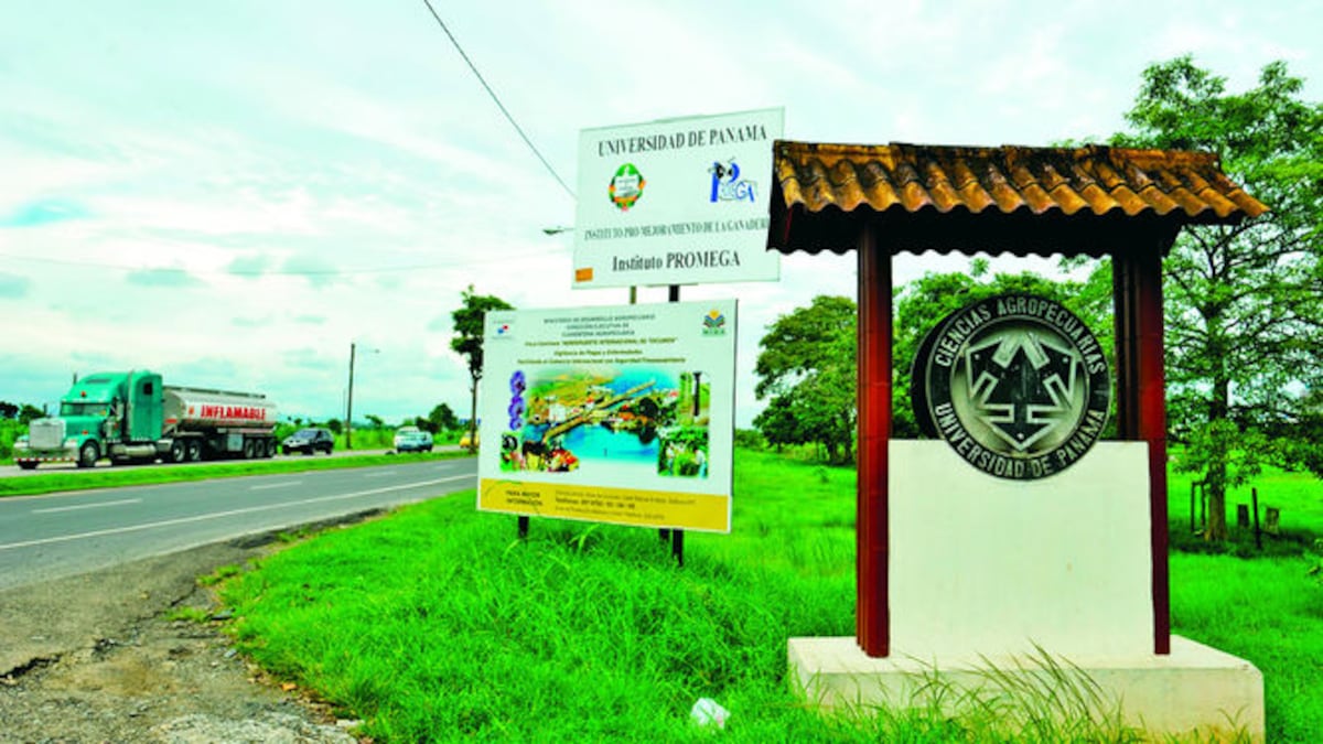 Una finca de 10.6 hectáreas compró el Meduca a Tocumen, S.A. –que administra el aeropuerto internacional– para construir el Instituto Técnico Superior del Este.