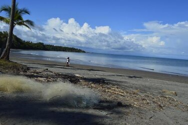 Sismo con epicentro en Costa Rica se percibe en Chiriquí