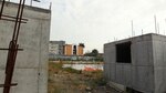 Miviot suspende contrato del proyecto Ave Fénix en El Chorrillo