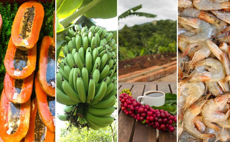 UniBank y el eco.business Fund refuerzan su apoyo a los sectores agropecuario y agroindustrial en Panamá, con una inversión de 15 millones de dólares