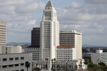 Por pulgas retiran alfombra en el Ayuntamiento de Los Ángeles