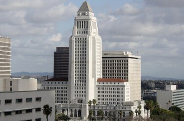 Por pulgas retiran alfombra en el Ayuntamiento de Los Ángeles