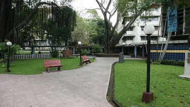 Universidad de Panamá suspende labores académicas este 25 de noviembre