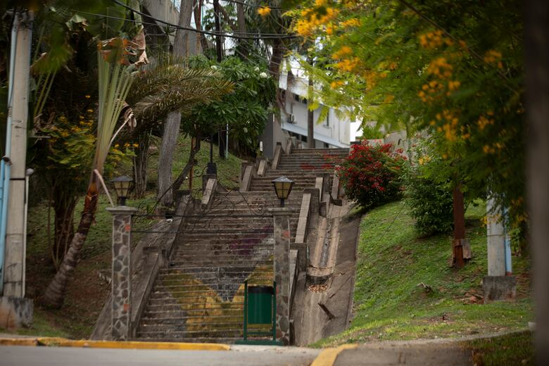 La Cresta: entre árboles, paisajismo, la demanda de agua y mejores servicios públicos