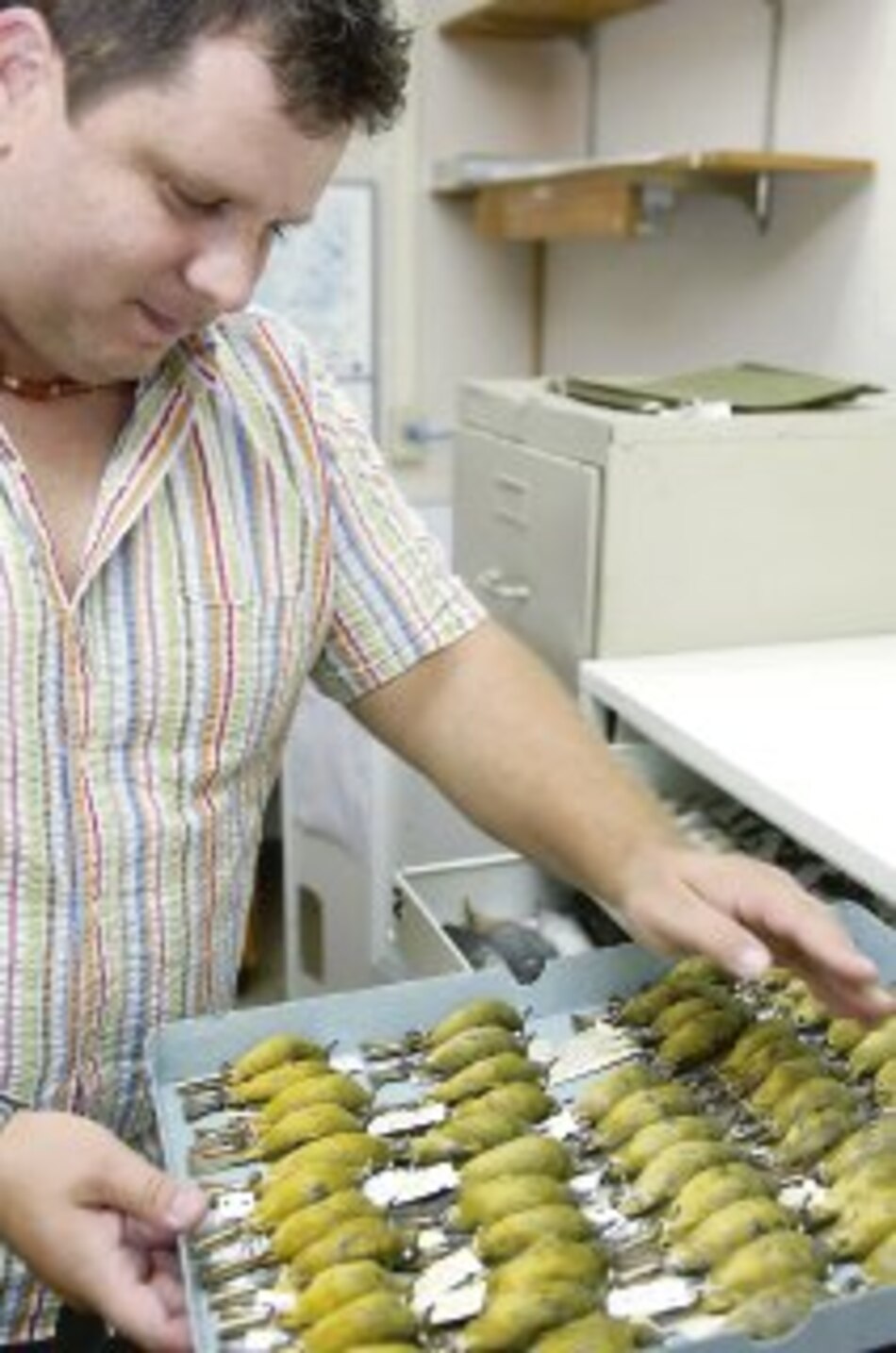 Promueven los Premios Twas