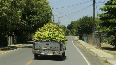 Del Monte llegaría a Barú en 2017