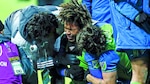 La final de Román