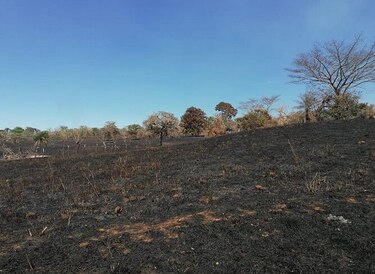 Incendio forestal acaba con 300 hectáreas de la meseta de Chorcha; falta 40% del fuego por controlar
