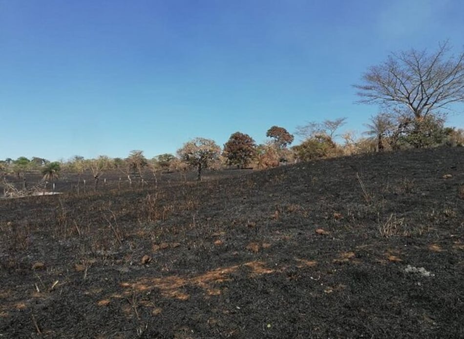 Incendio forestal acaba con 300 hectáreas de la meseta de Chorcha; falta 40% del fuego por controlar