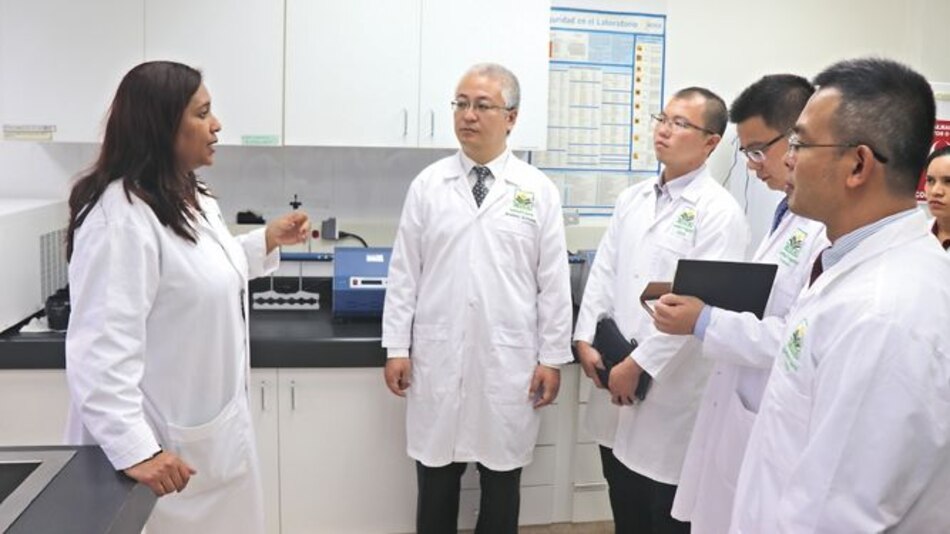 Evalúan protocolos para exportar piña a China