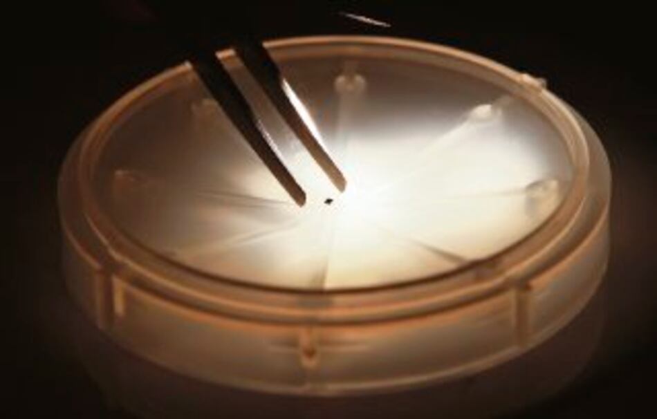 Japón crea ´chip´ que sería instalado bajo la piel