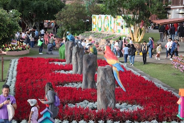 Miles de flores y el café más caro del mundo engalanan poblado en las montañas de Panamá