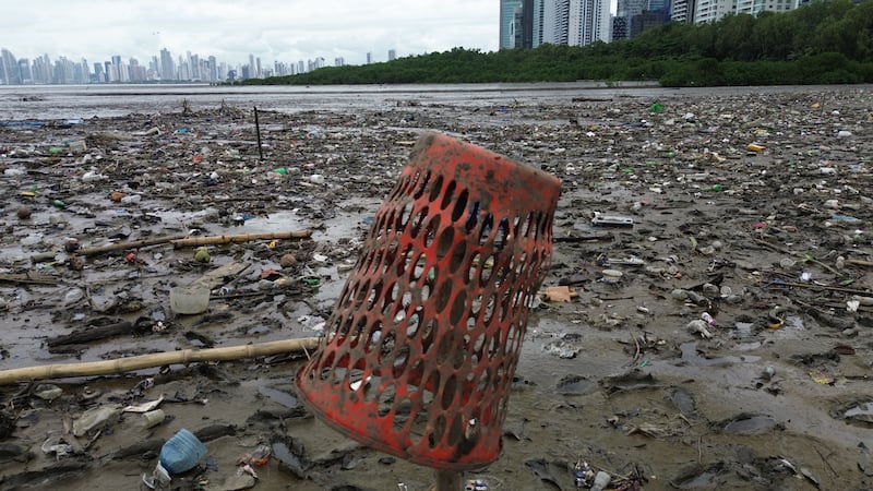 Solo 15% se recicla: el reto del plástico que Panamá intenta sacar del mar
