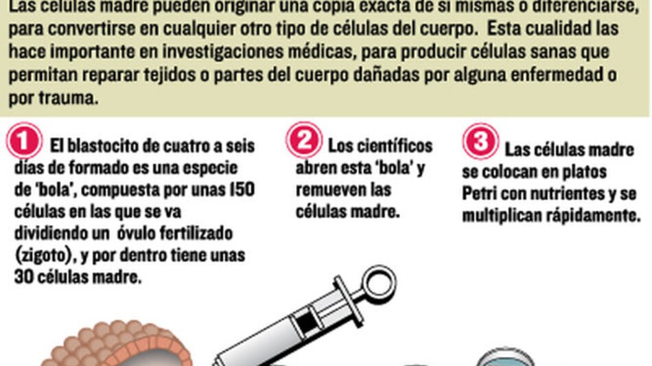 Esperanza para tratar la atrofia muscular espinal